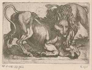 Un lion attaquant un taureau - Antonio Tempesta