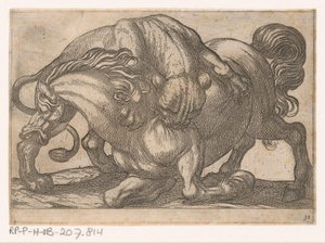 Une lionne attaquant un cheval - Antonio Tempesta