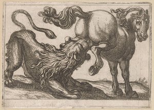 Un cheval piétinant un lion - Antonio Tempesta