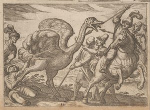 Chasse à l