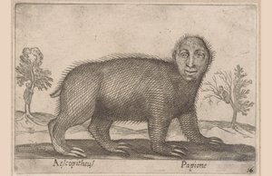 Paresseux (Animaux et créatures fabuleuses)