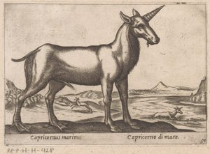 Capricorne marin - Antonio Tempesta