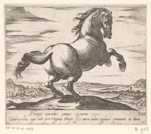 Cheval cabré tourné vers la droite - Antonio Tempesta