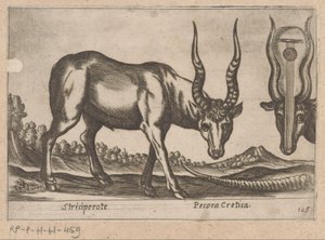 Deux antilopes (série Dieren en fabelwezens, Nova raccolta de li animali piu curiosi del mondo) - Antonio Tempesta