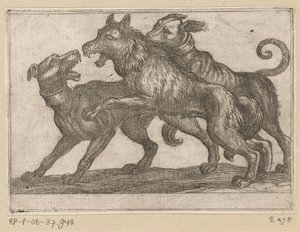 Deux chiens en combat avec un loup - Antonio Tempesta