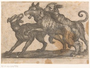 Deux chiens en combat avec un loup (série d