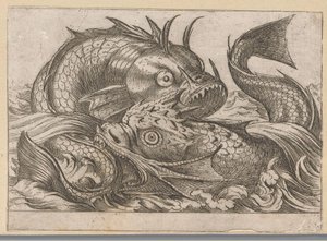 Deux poissons combattants
Animaux combattants (titre de la série) - Antonio Tempesta