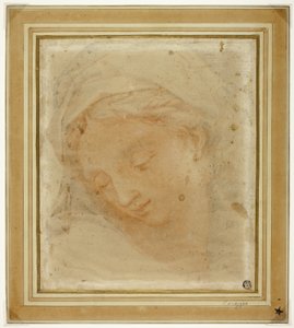Tête de femme - Antonio da Correggio