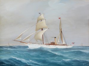 S. Y. Narada - Antonio de Simone