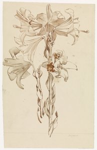 Feuille d
