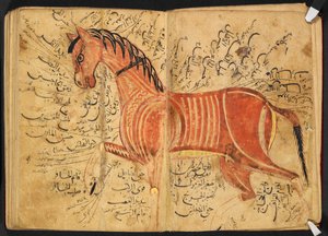 Cheval, de 
