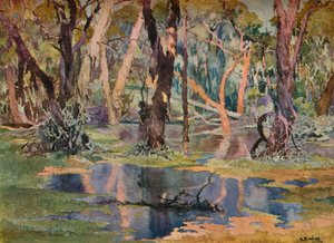 Quindanning Pool, vers 1927 - Archibald Bertram Webb