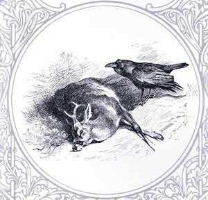 Cerf et corbeau, pub. par Book Club Associates - Archibald Thorburn