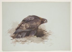 Aigle royal, c.1915 - Archibald Thorburn