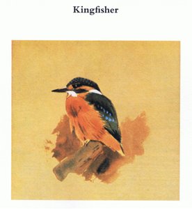Martin-pêcheur, publié par Book Club Associates, 1972