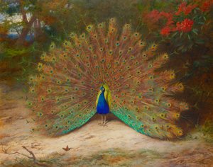Paon et papillon paon - Archibald Thorburn