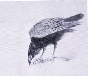 Corbeau, publié par Book Club Associates - Archibald Thorburn