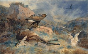 La Biche perdue - Archibald Thorburn