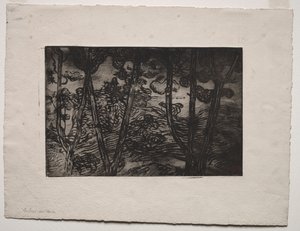 Arbres la nuit, vers 1894 - Armand Séguin
