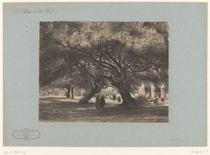 Chênes verts de Cimiez, Nice (Landschappen met dorpen en bos, Le village et les bois) - Armand Theophile Cassagne