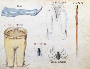 Illustrations de 