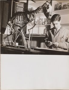 [Un jeune homme se tient à côté d