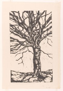 Arbre nu