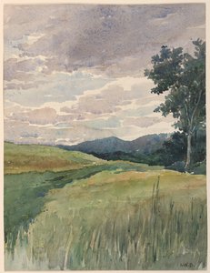 Paysage de campagne