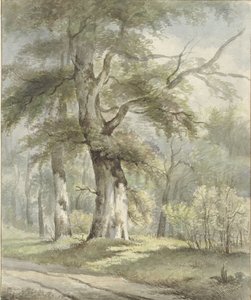 Paysage forestier - Arnoldus Johannes Eymer