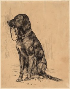 Le Chien d