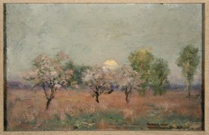 Paysage