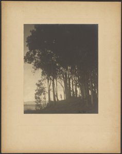 Nymphe dansante - Arthur F. Kales