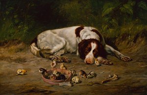Bon chien - Arthur Fitzwilliam Tait