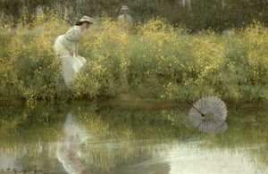 Parasol perdu