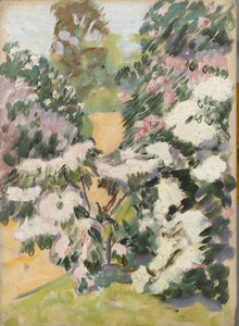 Fleur, vers 1900 - Arthur Haythorne Studd