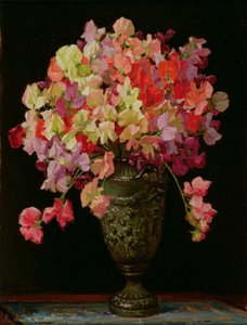 Pois de senteur, Réjouissances estivales, 1930 - Arthur Herbert Buckland