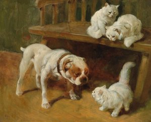 Chiens et chats