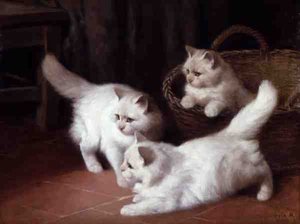 Trois chatons angora blancs - Arthur Heyer