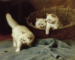 Chatons angoras blancs avec un scarabée, 1929 - Arthur Heyer
