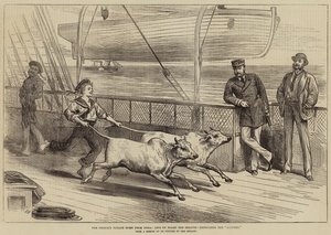 Le voyage de retour du prince d