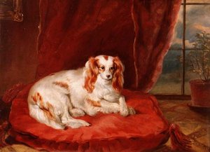 Un épagneul Cavalier King Charles allongé sur un coussin rouge