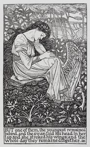 Hans Christian Andersen : Les cygnes sauvages - Arthur Joseph Gaskin