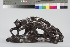 Chiens attrapant un puma