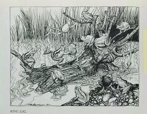 Le Roi Grenouille, illustration de 