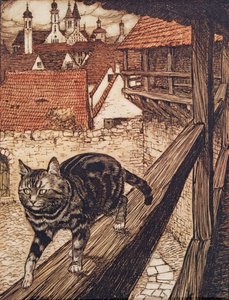 Le chat s
