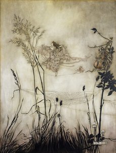 Les fées sont des danseuses exquises, illustration dans Peter Pan dans les jardins de Kensington par J.M Barrie (1860-1937) 1906
