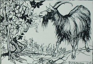 La chèvre et la vigne, illustration des 