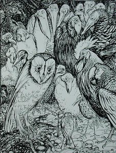 Le hibou et les oiseaux, illustration des 