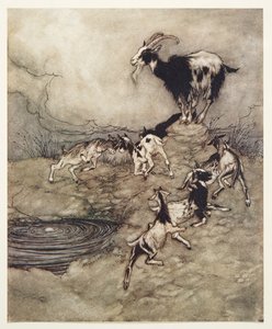 Les sept chevreaux et leur mère gambadèrent et dansèrent autour de la source de joie, des Contes de fées des frères Grimm, pub. 1909