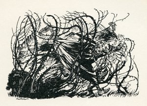 Les Trois Têtes du Puits - Arthur Rackham